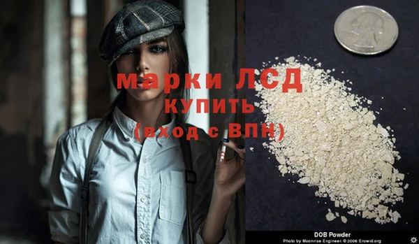 ГАЛЛЮЦИНОГЕННЫЕ ГРИБЫ Балахна