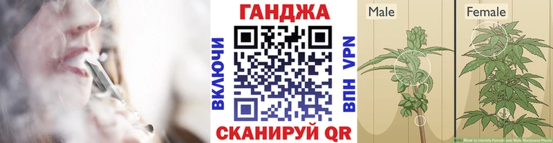 где продают наркотики  Николаевск-на-Амуре  Марихуана AK-47 